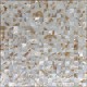 Mozaika z muszli A-MSH08-ZZ-005  30x30 cm